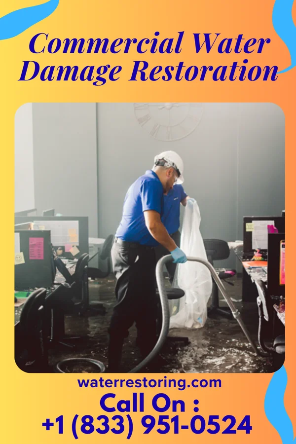 Commercial Water Damage Restoration in Toxey, AL